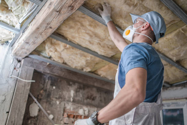 Types of Insulation We Offer in Edinburg, TX