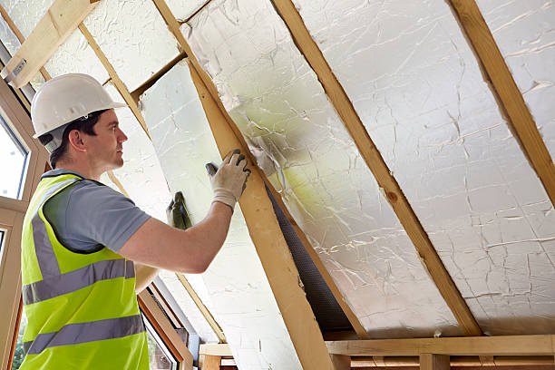 Best Specialized Insulation Services in Edinburg, TX